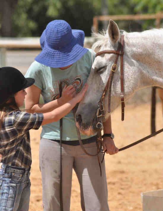 חנוכה לילדים בורד הגליל, פעילויות לילדים, אטרקציות לילדים בחנוכה